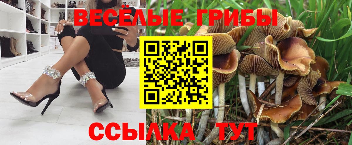 Галлюциногенные грибы GOLDEN TEACHER  Вход с VPN  Артёмовский 